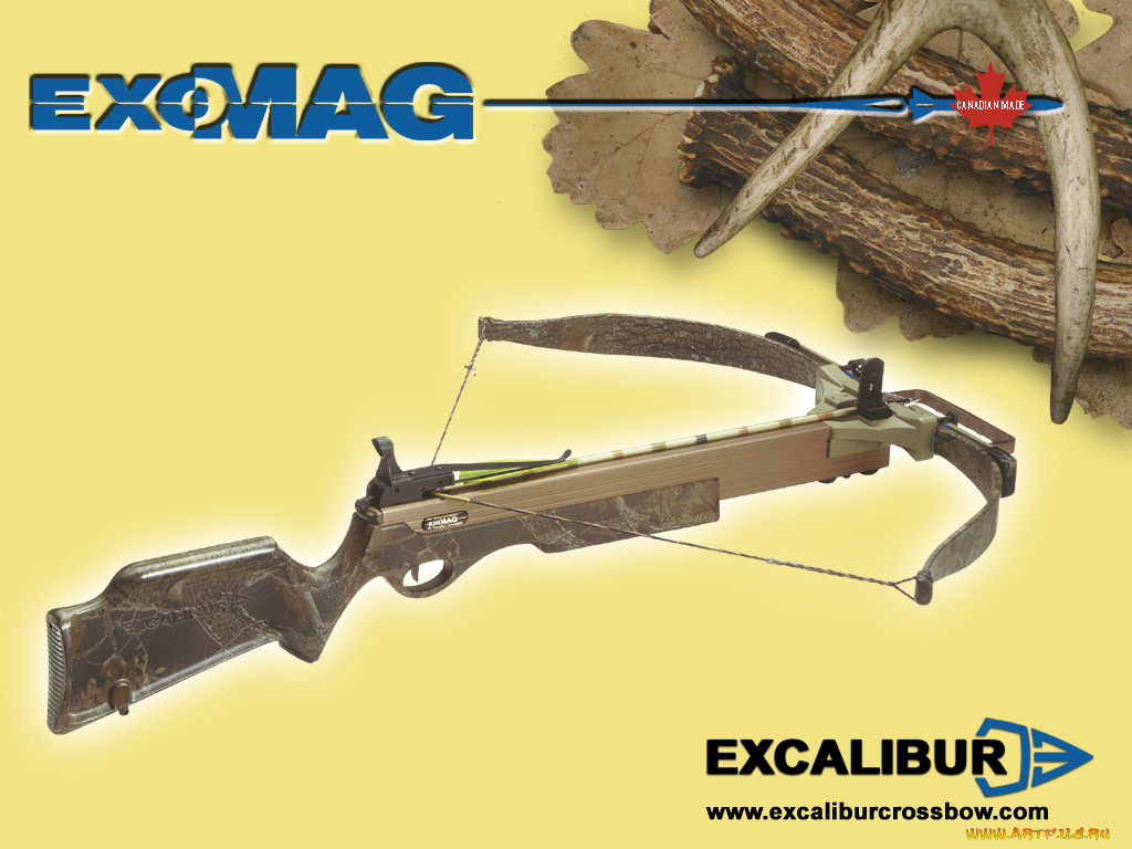 excalibur, exomag, , 